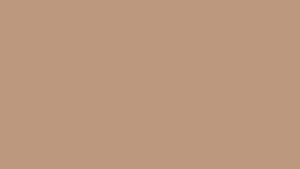 Pale Taupe Solid Color Background with Warm Neutral Beige Tones HD wallpaper