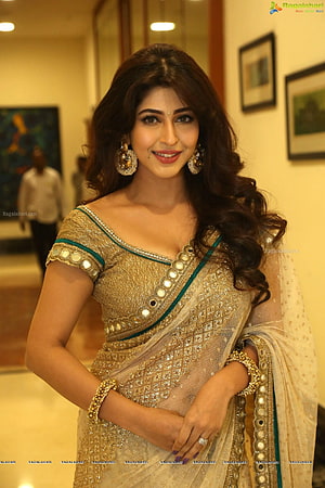 Sonarika Bhadoria in Gold Embroidered Saree with Traditional Jewelry HD phone wallpaper