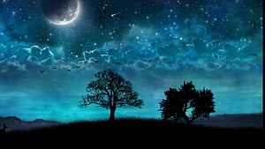 Serene Night Sky with Moon, Stars, and Silhouetted Trees on a Hill HD wallpaper