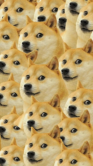 Shiba Inu Doge Meme Pattern Wallpaper HD phone wallpaper