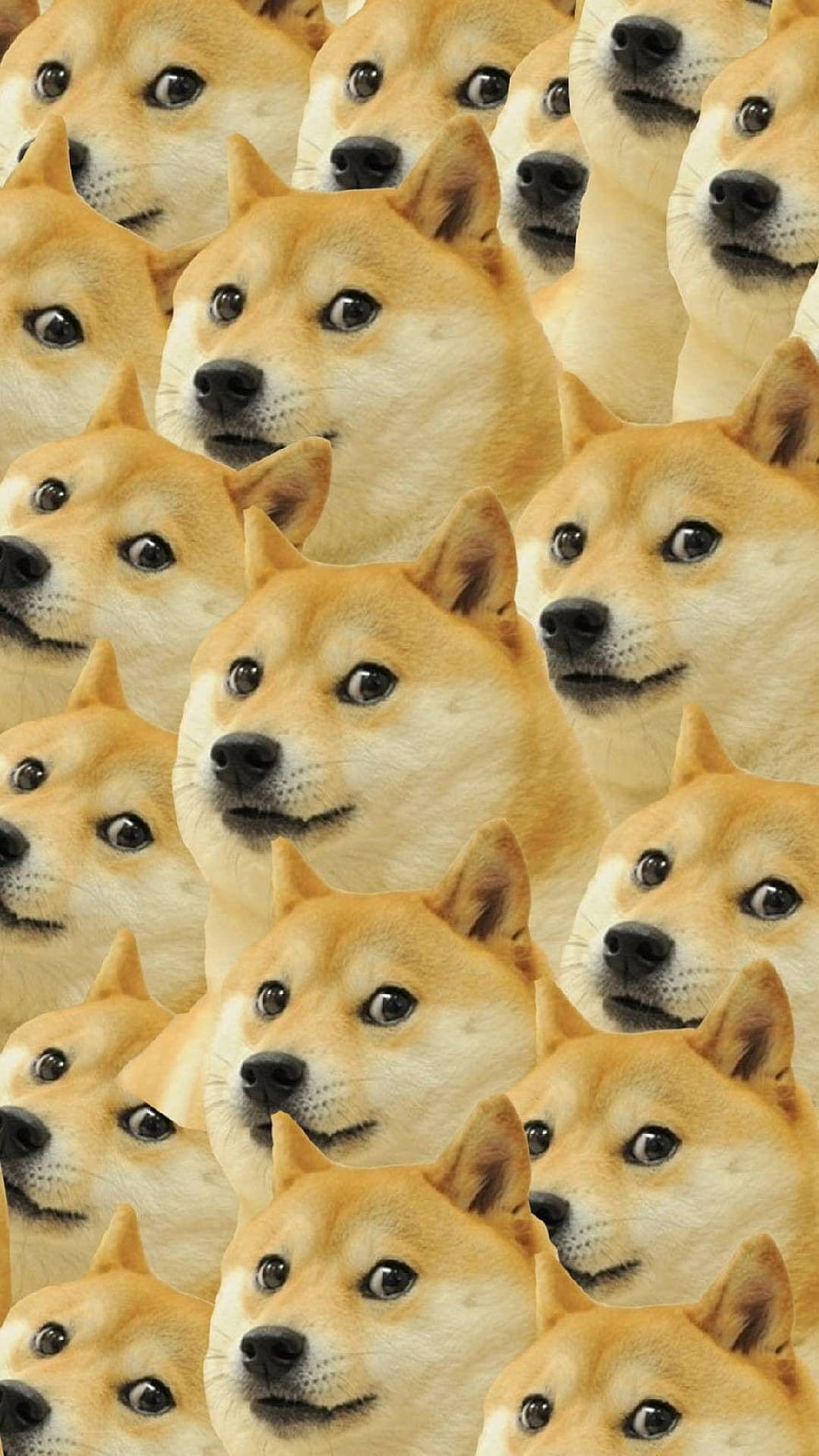 Shiba Inu Doge Meme Pattern Wallpaper HD phone wallpaper