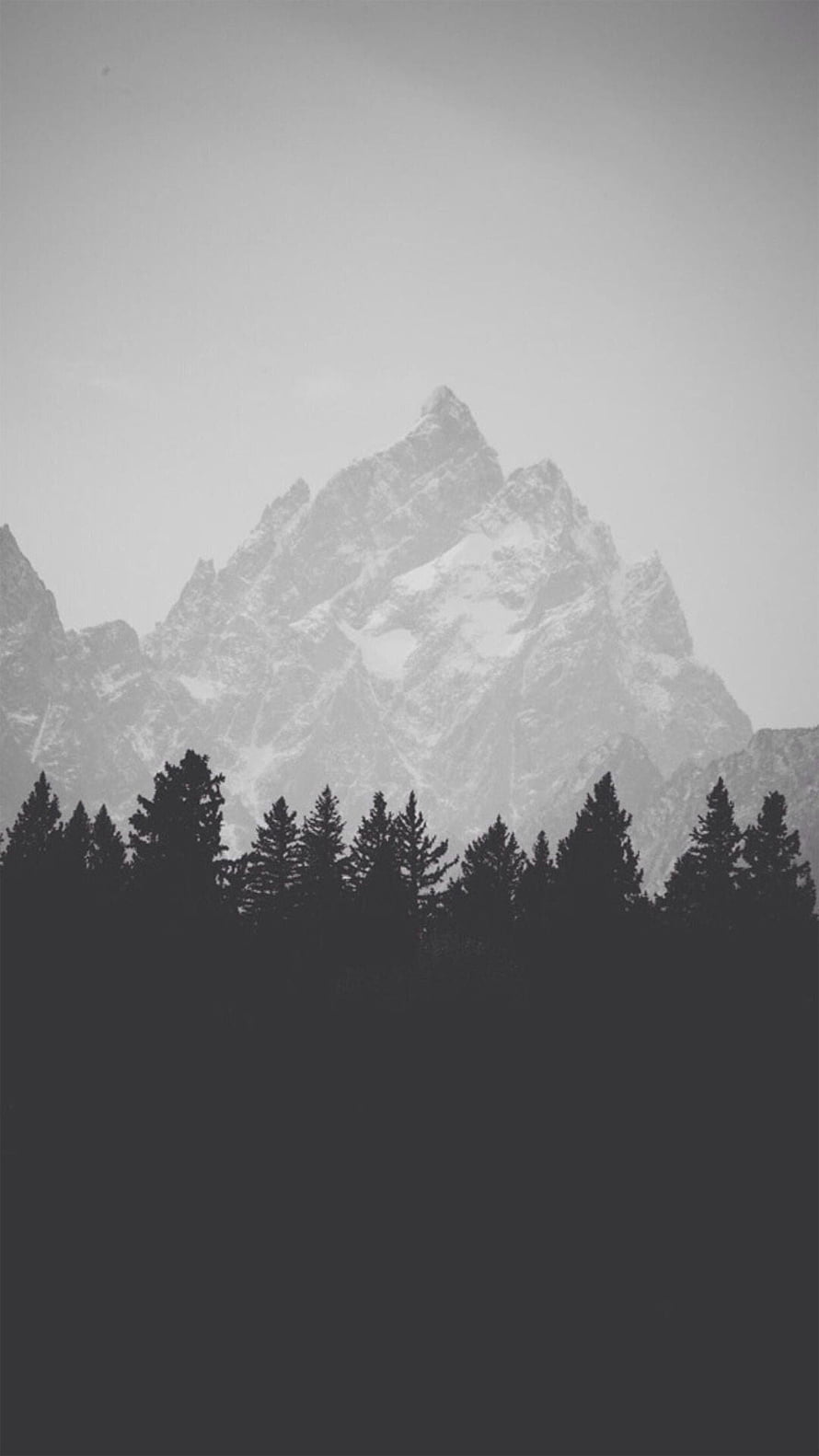 Monochrome Mountain Peak Rising Above Silhouetted Evergreen Forest in Misty Fog HD phone wallpaper