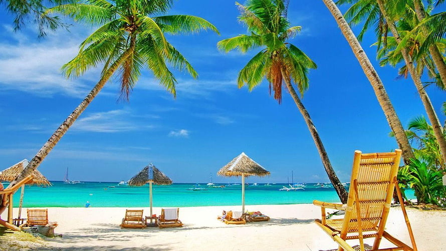 Tropical Beach Scene with Palm Trees, Thatched Umbrellas, and Bamboo Lounge Chairs HD wallpaper