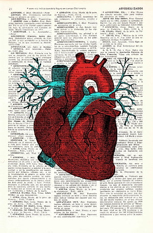 Vintage Anatomical Illustration of Human Heart and Lungs on Dictionary Page HD phone wallpaper