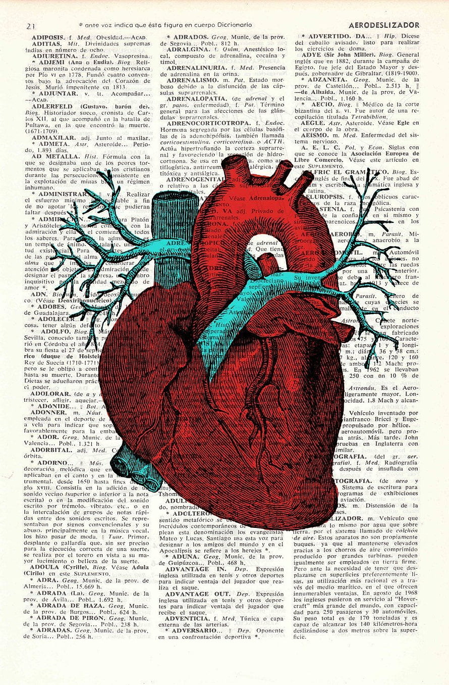 Vintage Anatomical Illustration of Human Heart and Lungs on Dictionary Page HD phone wallpaper