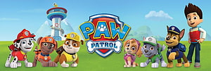 Paw Patrol Team and Ryder Standing in Front of Lookout Tower on Green Grass HD wallpaper