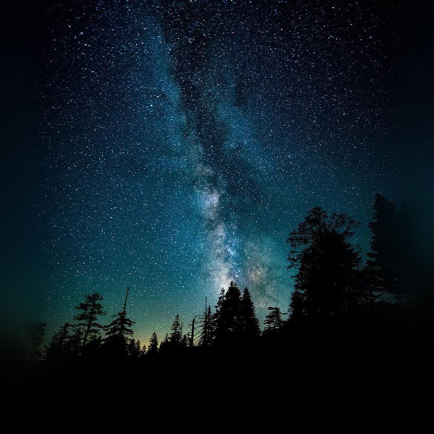 Milky Way Galaxy Rising Over Silhouetted Pine Forest at Night HD phone wallpaper
