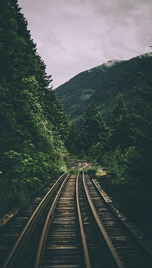 Moody Railway Tracks Winding Through Dense Forest and Misty Mountains HD phone wallpaper