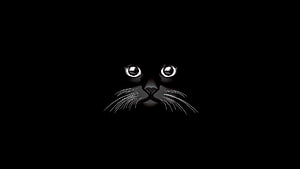 Mysterious Black Cat Eyes Emerging From Darkness Minimalist Digital Art HD wallpaper