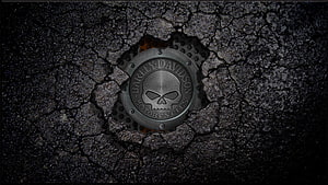 Harley-Davidson Skull Emblem Embedded in Cracked Black Asphalt Surface HD wallpaper