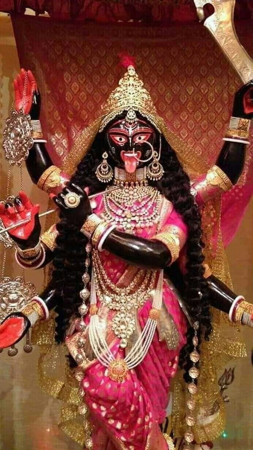Kali Thakur Murti Adorned in Pink Saree and Gold Jewelry HD phone wallpaper