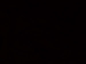 Minimalist Solid Black Screen Background for Desktop and Mobile Devices HD wallpaper