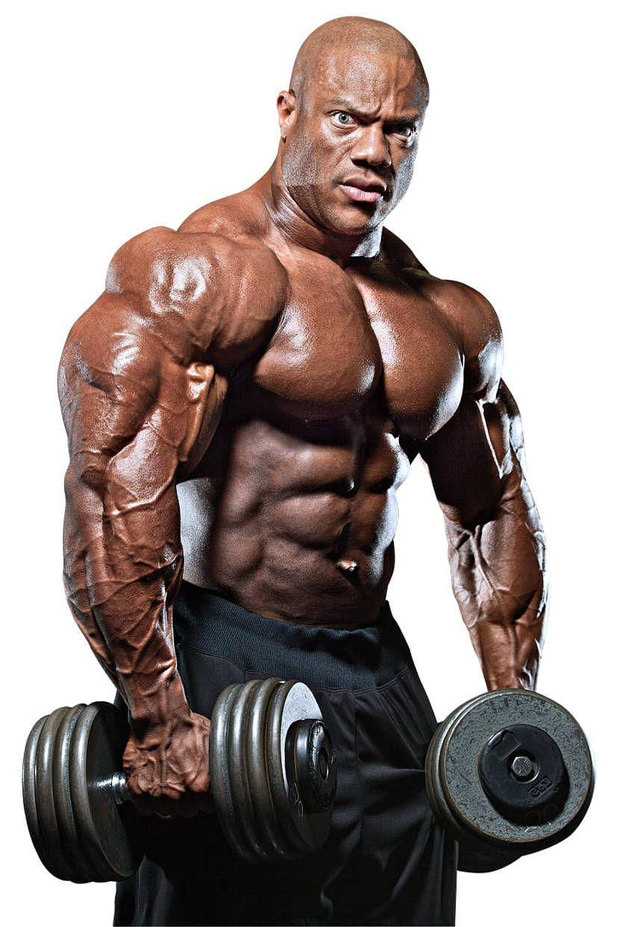 Phil Heath Bodybuilder Dumbbell Curl Studio Portrait HD phone wallpaper