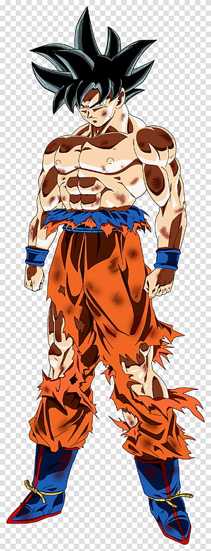 Goku Ultra Instinct Mastered Anime Character Full Body Illustration HD phone wallpaper
