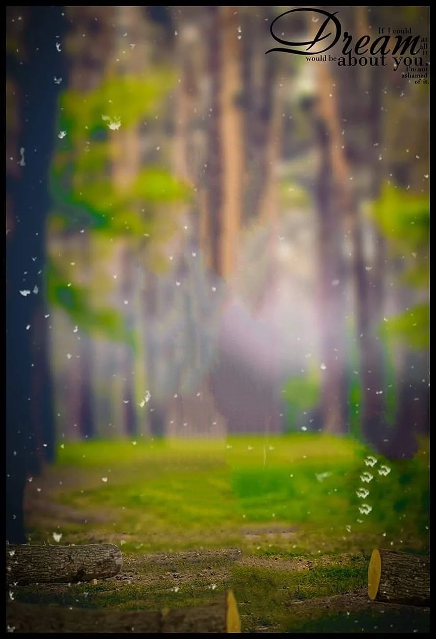Dreamy Forest Path with Soft Focus and Floating Particles HD phone wallpaper