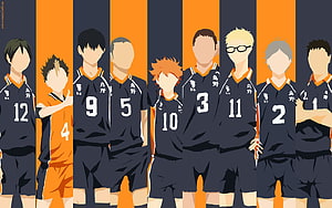 Haikyuu Karasuno Volleyball Team Minimalist Anime Lineup Illustration HD wallpaper