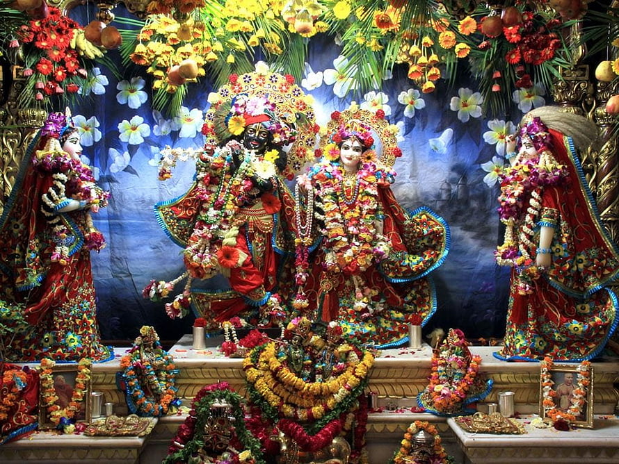 ISKCON Krishna and Radha Temple Altar with Vibrant Floral Garlands and Decorations HD wallpaper