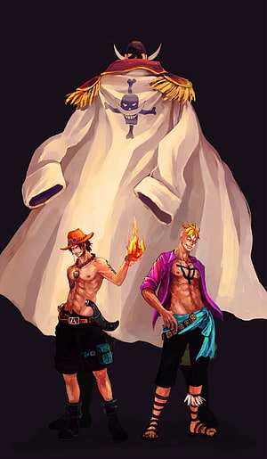 Whitebeard Pirates Crew Members Standing Before the Jolly Roger Flag in One Piece HD phone wallpaper
