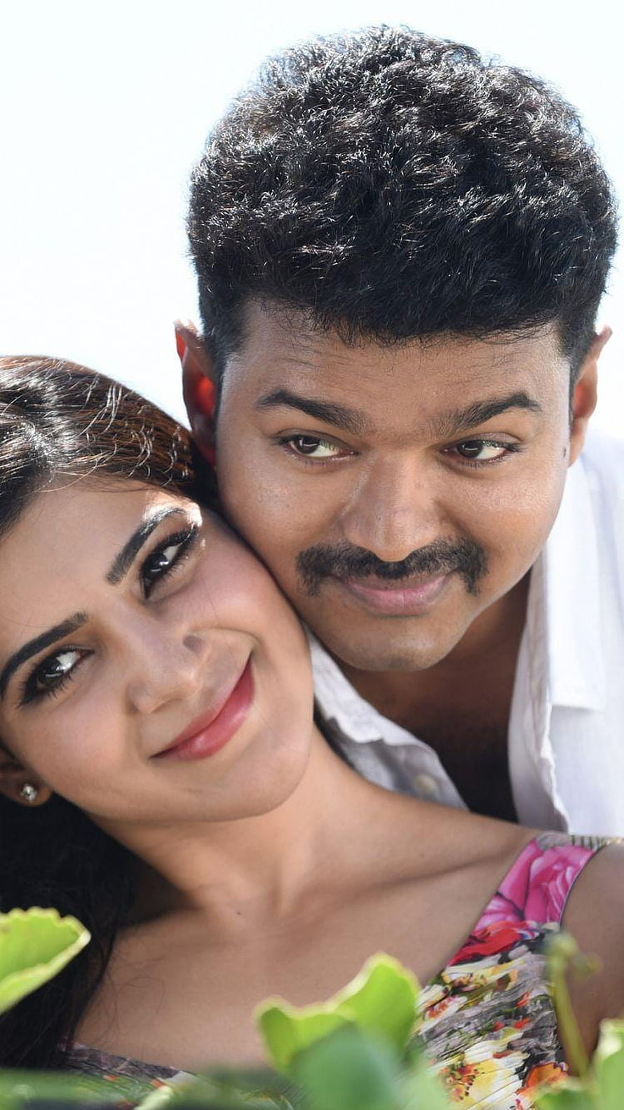 Vijay and Samantha Vijay Theri Romantic Portrait with Green Foliage HD phone wallpaper