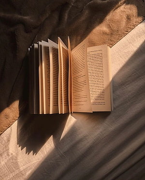 Open book with fanned pages resting on soft fabric in warm golden sunlight HD phone wallpaper