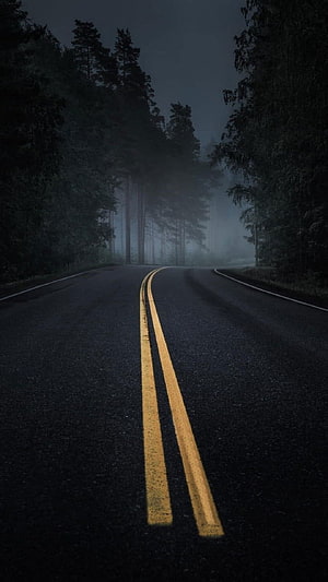 Empty asphalt road winding through a dark pine forest at night with heavy fog and mist HD phone wallpaper