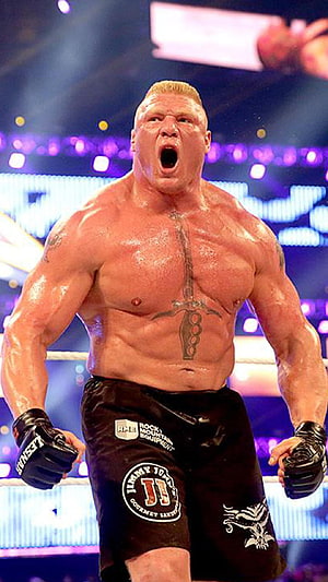 Brock Lesnar WWE Superstar Intense Arena Entrance Portrait HD phone wallpaper