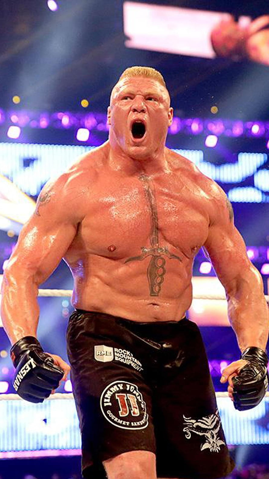 Brock Lesnar WWE Superstar Intense Arena Entrance Portrait HD phone wallpaper