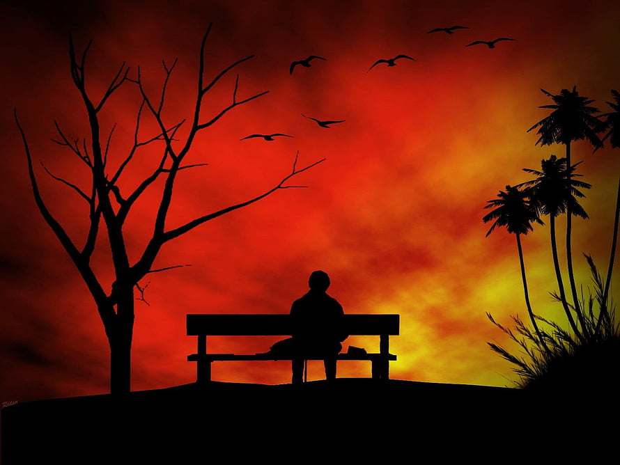 Silhouette of a solitary figure sitting on a bench against a fiery red sunset sky with palm trees and birds HD wallpaper