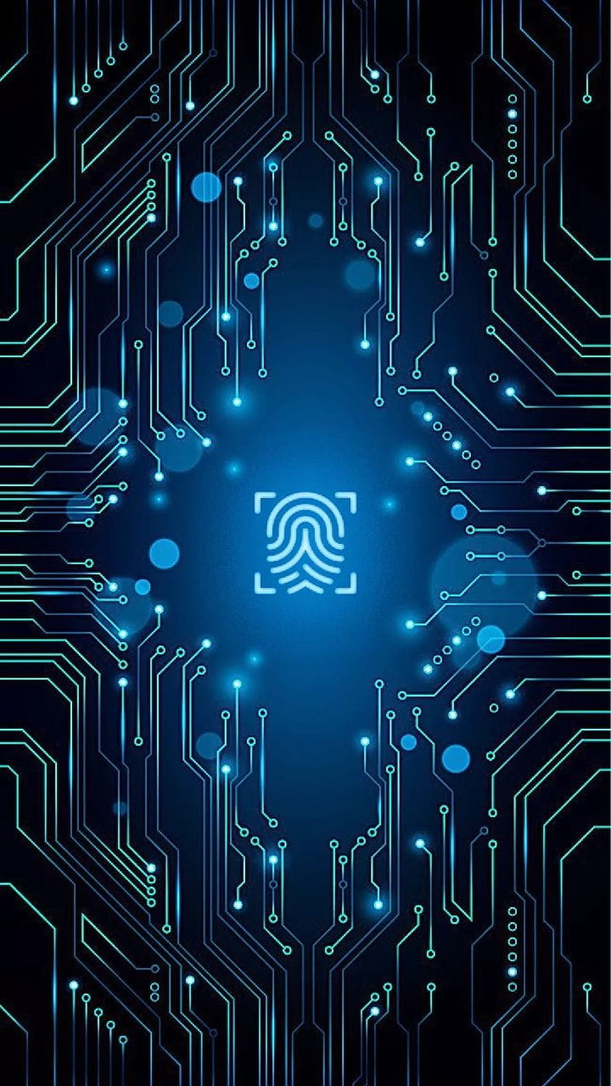 Fingerprint Biometric Security Icon on Glowing Blue Circuit Board Technology Background HD phone wallpaper