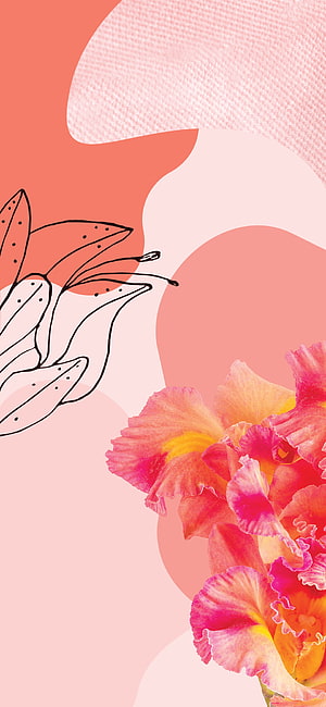 Abstract Floral Collage with Line Art and Watercolor Orchids on Pink Background HD phone wallpaper