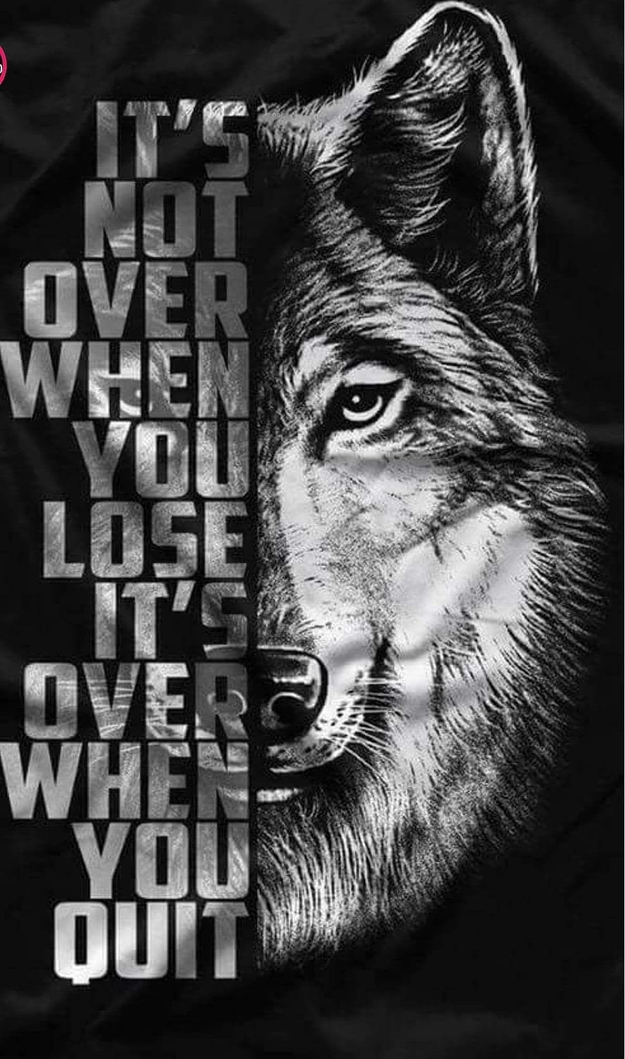 Black and White Wolf Portrait with Motivational Quote Typography HD phone wallpaper