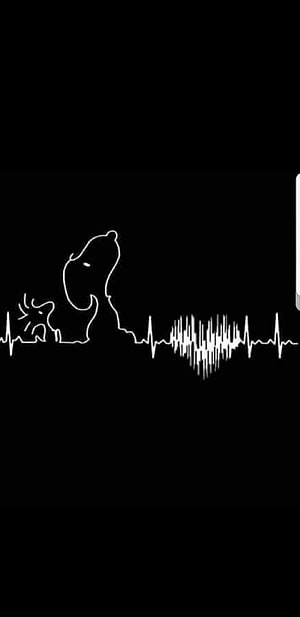 Snoopy and Woodstock Silhouette Integrated with Heartbeat Pulse Line on Black Background HD phone wallpaper