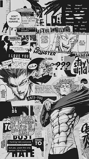 Garou Aesthetic Collage from One Punch Man with Dark Quotes and Manga Panels, garou aesthetic one punch man, #Garou HD phone wallpaper