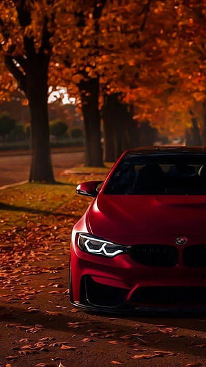 Red BMW M4 Coupe Parked on a Tree-Lined Avenue During Autumn HD phone wallpaper