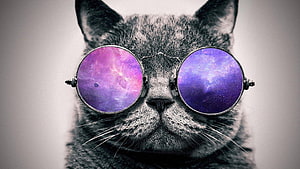 Cool Cat Wearing Round Galaxy Sunglasses With Purple Nebula Lenses HD wallpaper