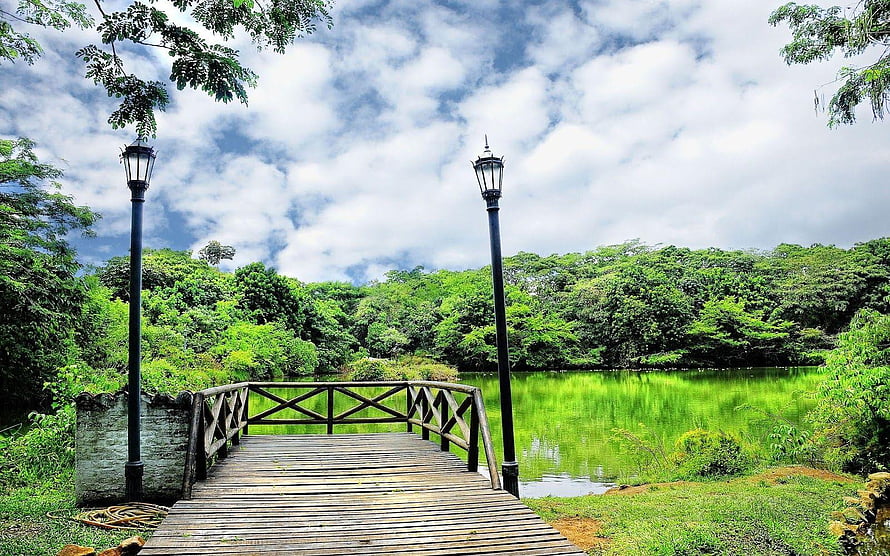 Serene wooden bridge leading to a tranquil green lake surrounded by lush tropical forest HD wallpaper