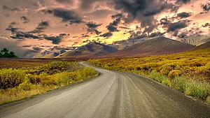 Winding gravel road through golden tundra hills under a dramatic sunset sky HD wallpaper