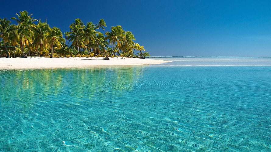 Tropical Island Beach With Crystal Clear Turquoise Water And Palm Trees HD wallpaper