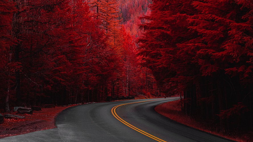 Winding Mountain Road Through Deep Red Autumn Forest Landscape HD wallpaper