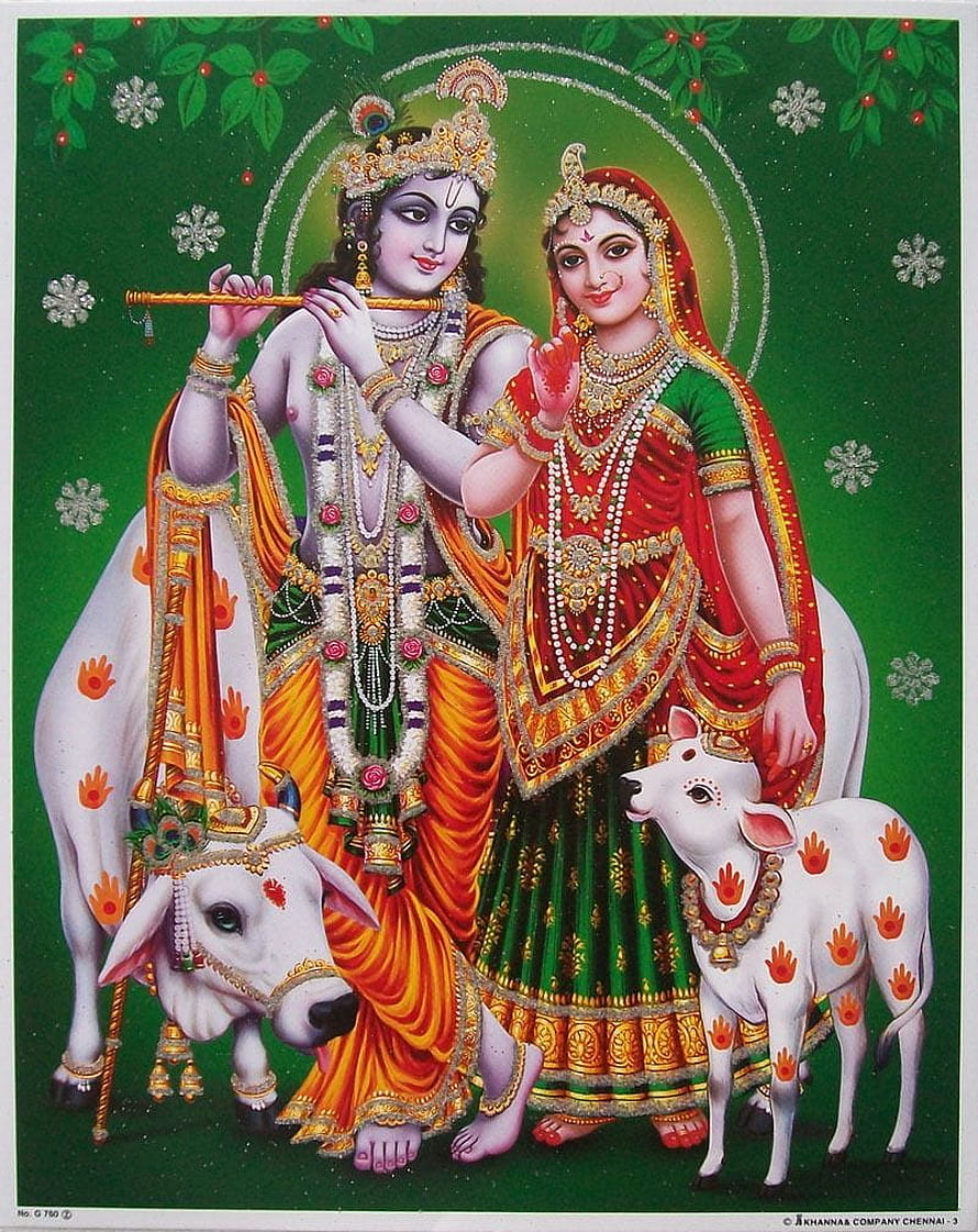 Radha Krishna with Cows Traditional Indian Devotional Artwork HD phone wallpaper