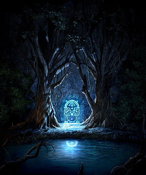 Glowing Portal in Ancient Forest Grotto with Reflecting Water HD phone wallpaper