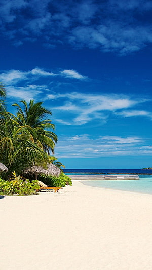 Tropical Beach Scene With Palm Trees, Thatched Huts, and Turquoise Ocean Waters Under a Bright Blue Sky HD phone wallpaper