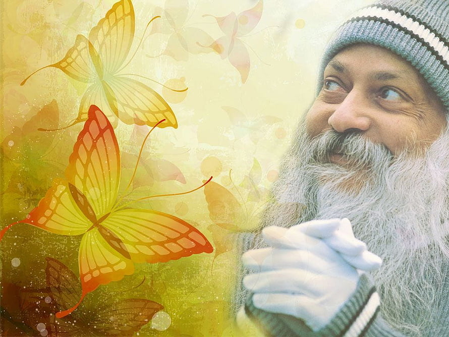 Osho Portrait with Vibrant Orange and Yellow Butterflies on a Warm Textured Background HD wallpaper