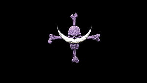 Whitebeard Pirates Jolly Roger Skull and Crossbones Emblem on Black Background HD wallpaper