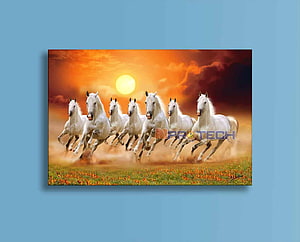 Seven White Horses Galloping Across a Golden Sunset Meadow HD wallpaper