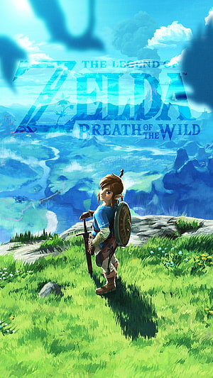 Link Standing on a Grassy Cliff in The Legend of Zelda Breath of the Wild HD phone wallpaper
