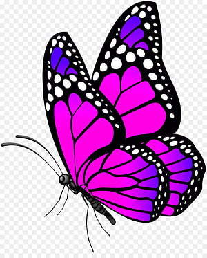 Vibrant Purple and Magenta Butterfly Vector Illustration with Black Outlines HD phone wallpaper