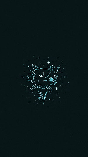 Minimalist Cat Line Art with Floral Accents and Starry Night Sky on Dark Background HD phone wallpaper