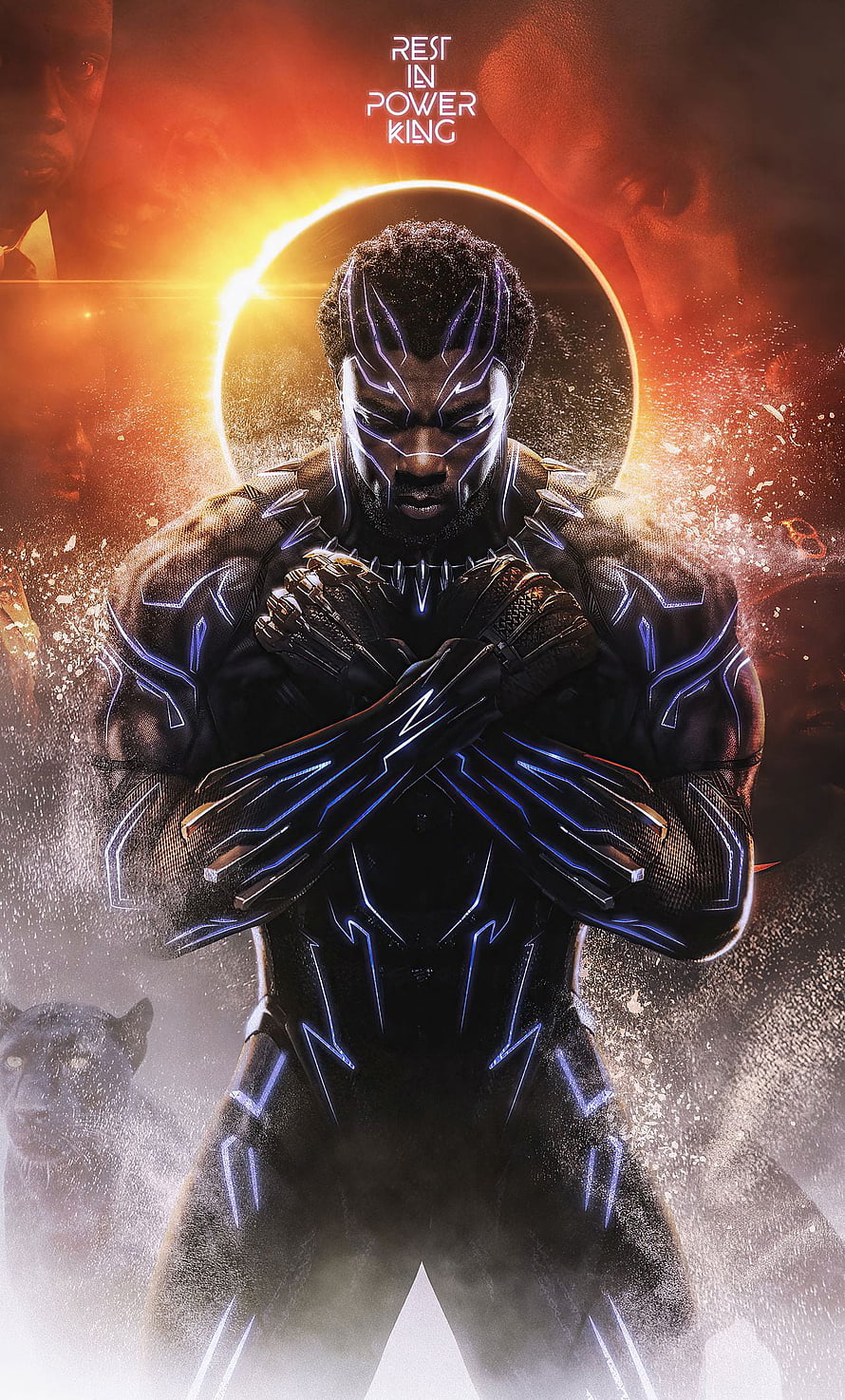 Black Panther King T'Challa in Vibranium Suit with Crossed Arms and Black Cat HD phone wallpaper