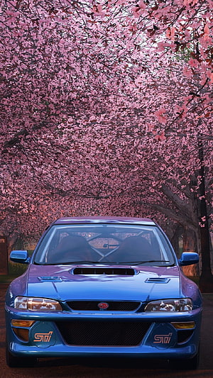 Blue Subaru Impreza 22B STI parked beneath a canopy of pink cherry blossom trees HD phone wallpaper